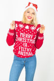 Merry Christmas Jumper